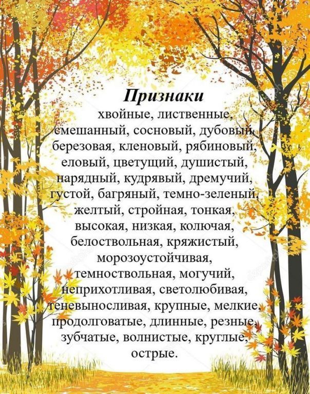 -5303099109848251422_121.jpg