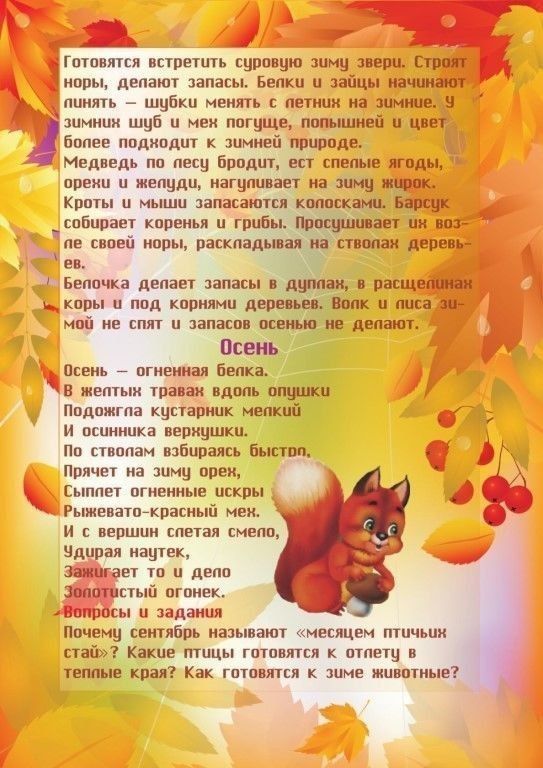 -5303099109848251421_120.jpg