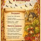 IMG_20260812_143221_303.jpg