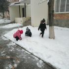 IMG_20250205_111041.jpg